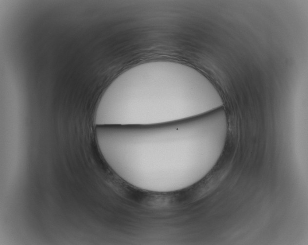 X0000111930127200908101149