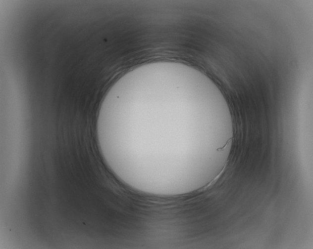 X0000111930128200908101149