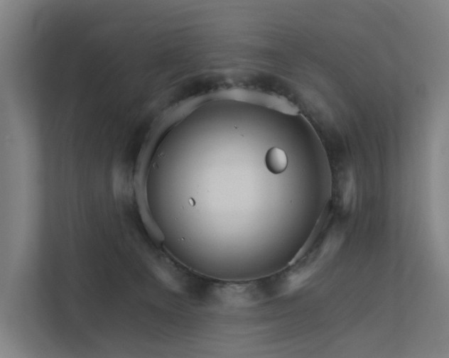 X0000111930129200908101149