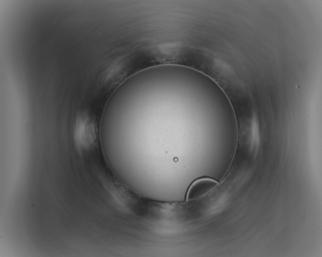 X0000111930130200908101149