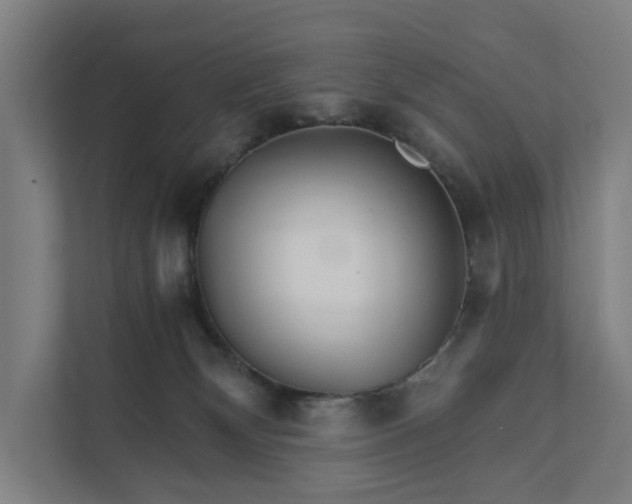 X0000111930132200908101149