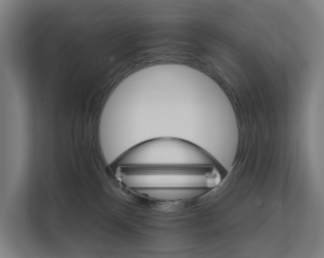 X0000111930136200908101149