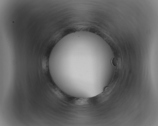 X0000111930138200908101149