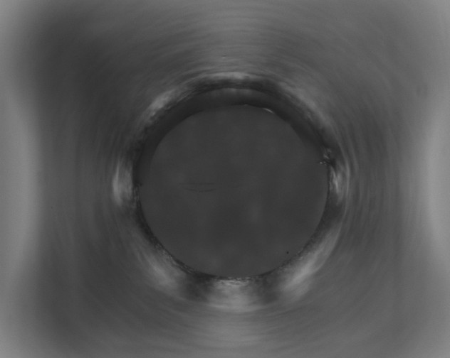 X0000111930139200908101149