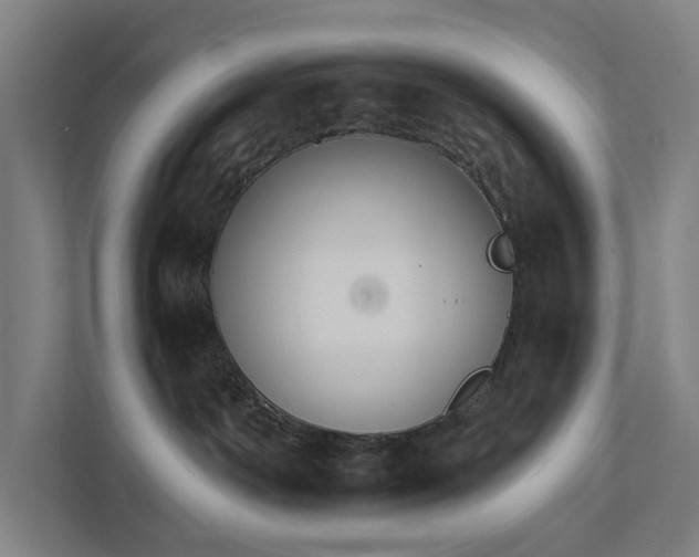 X0000111930142200908101149