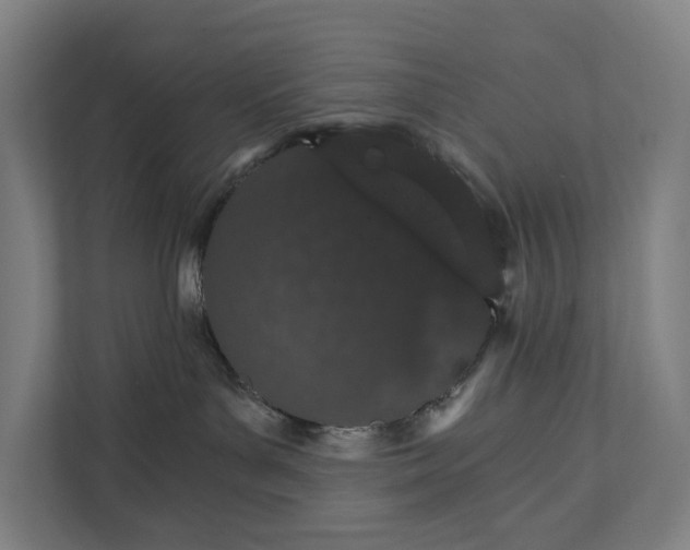 X0000111930143200908101149