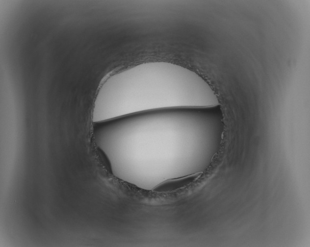 X0000111930144200908101149