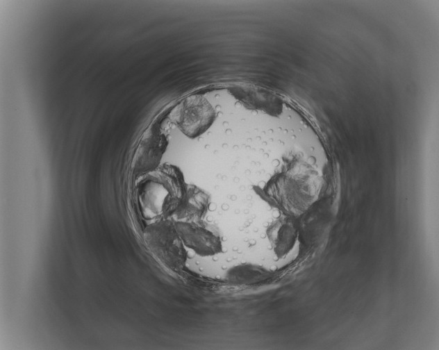 X0000111930145200908101148