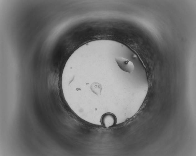 X0000111930146200908101148