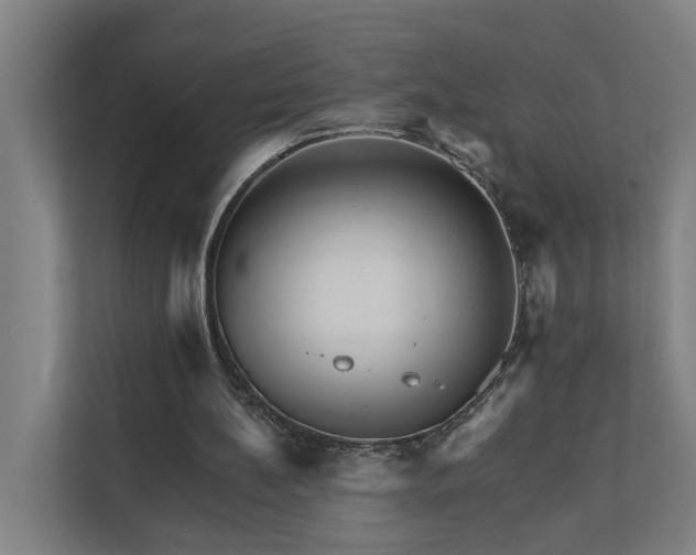 X0000111930148200908101148