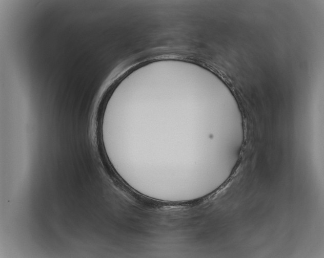 X0000111930150200908101149