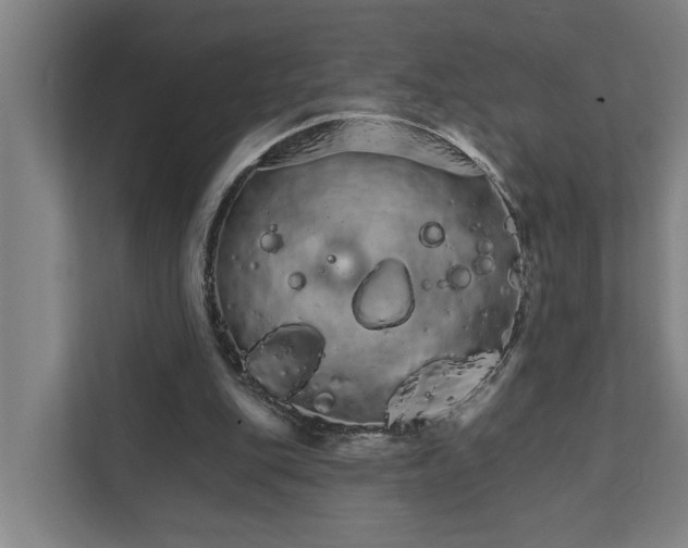 X0000111930151200908101149