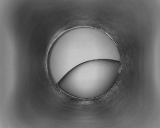 X0000111930152200908101149