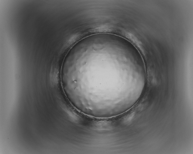 X0000111930153200908101149