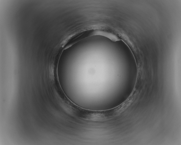 X0000111930154200908101149