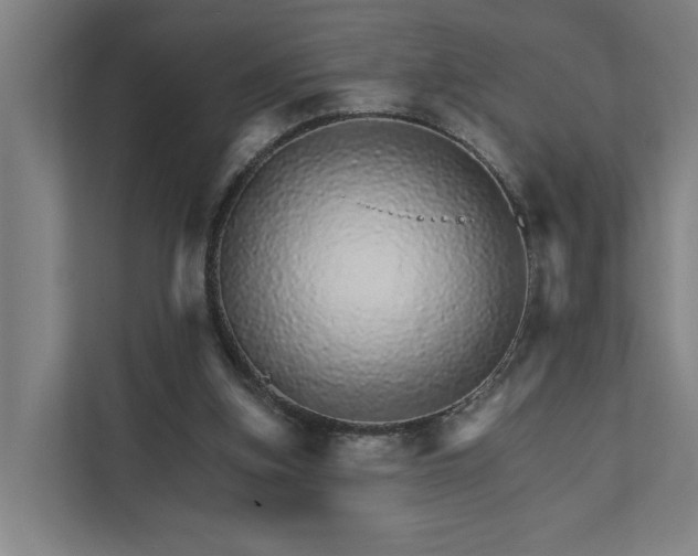 X0000111930155200908101149