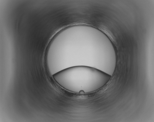 X0000111930156200908101149