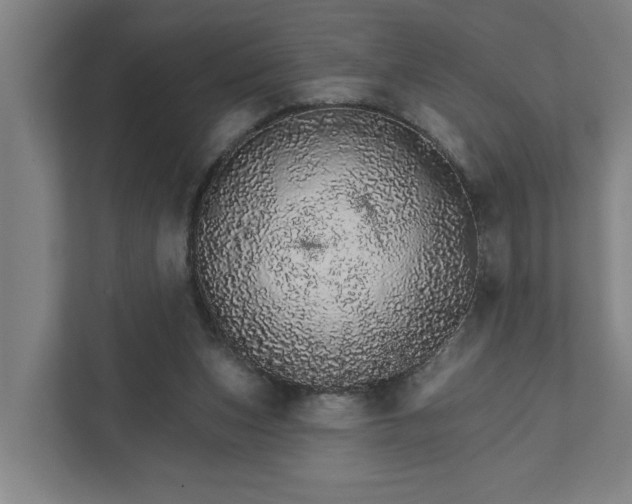 X0000111930159200908101149