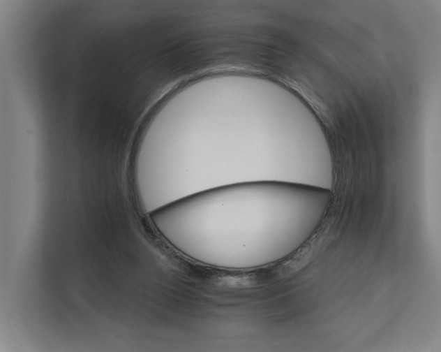 X0000111930160200908101149