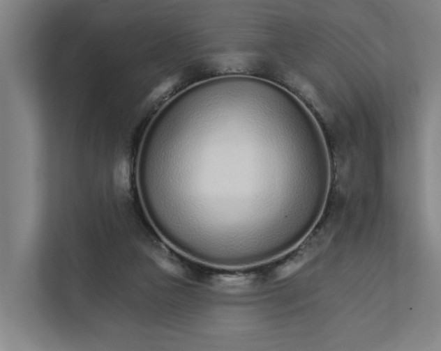 X0000111930161200908101149