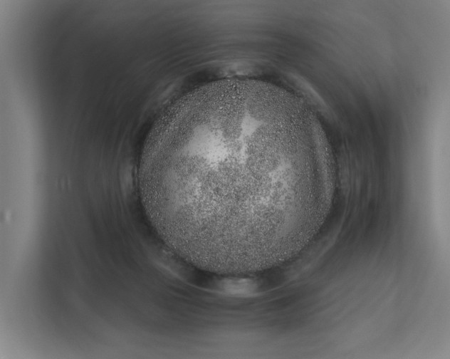 X0000111930169200908101149