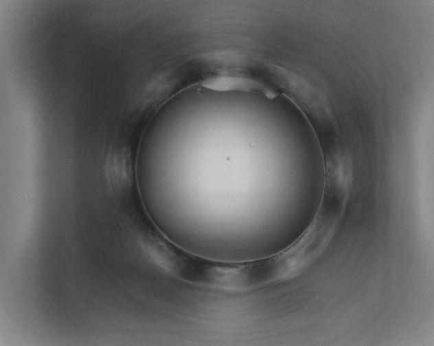 X0000111930170200908101149