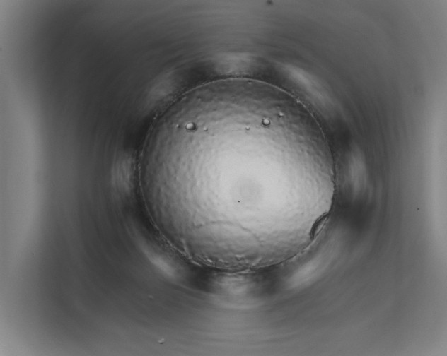 X0000111930171200908101149