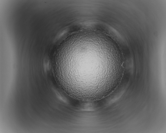 X0000111930173200908101149