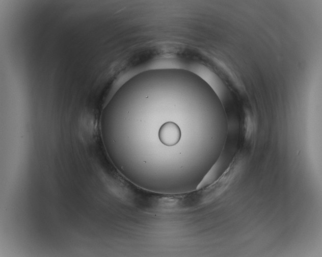 X0000111930176200908101149