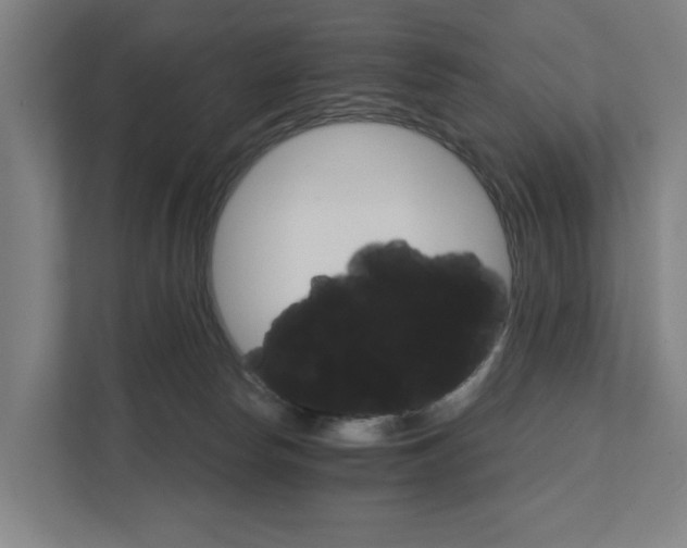 X0000111930178200908101149