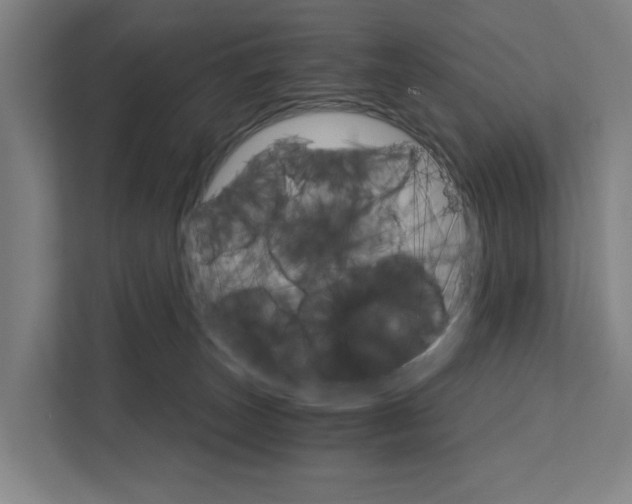 X0000111930179200908101149