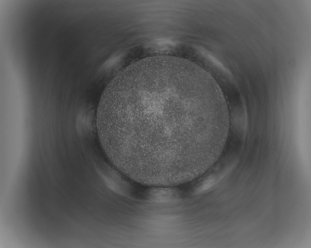 X0000111930181200908101149