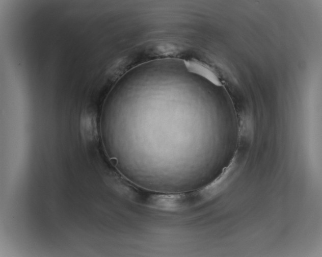 X0000111930182200908101149