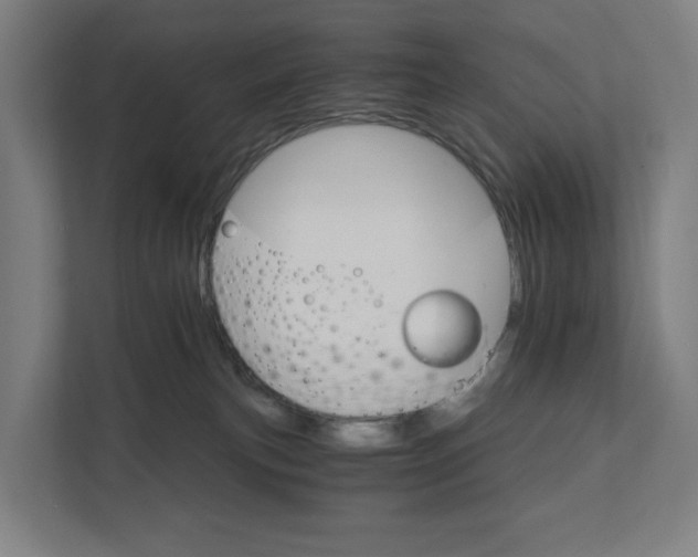 X0000111930183200908101149