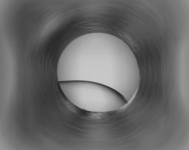 X0000111930190200908101149