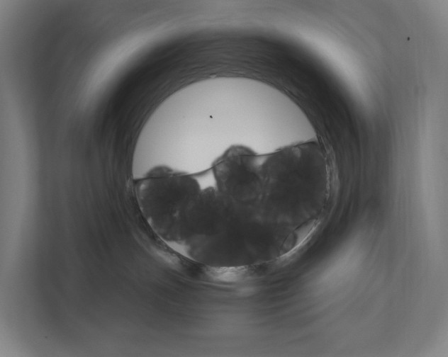 X0000111930191200908101149