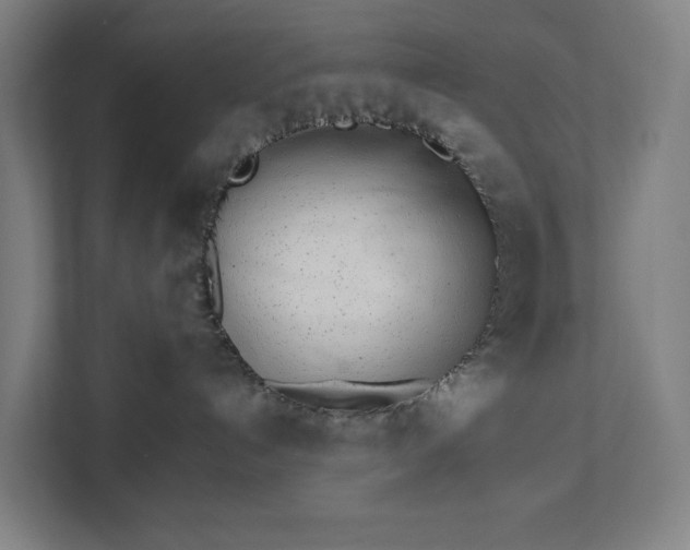 X0000111930192200908101149