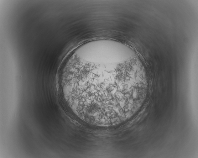 X0000111930194200908101148