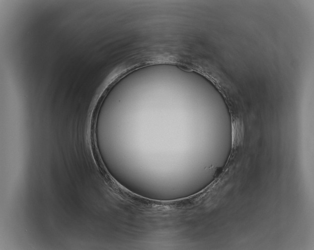 X0000111930195200908101148