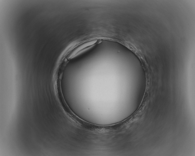 X0000111930197200908101148