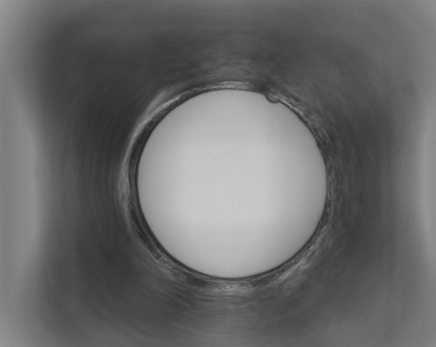 X0000111930198200908101148