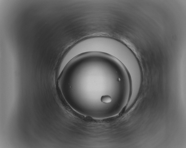 X0000111930201200908101148