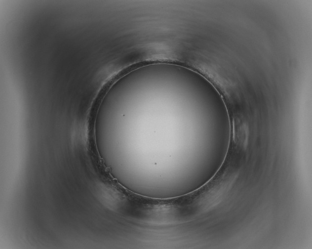 X0000111930204200908101148