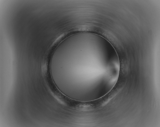 X0000111930208200908101148