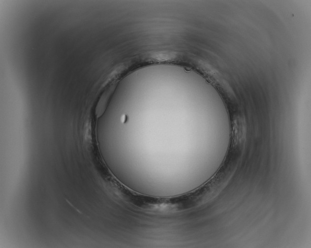 X0000111930212200908101148