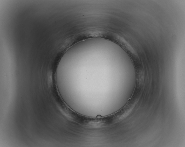 X0000111930213200908101148