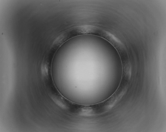 X0000111930214200908101148