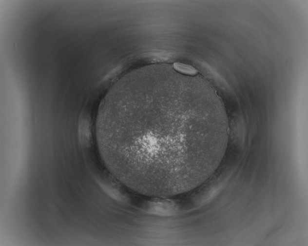 X0000111930215200908101148