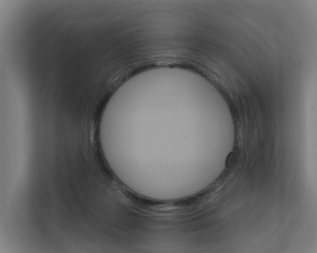 X0000111930219200908101148