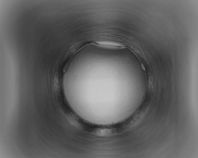 X0000111930220200908101148